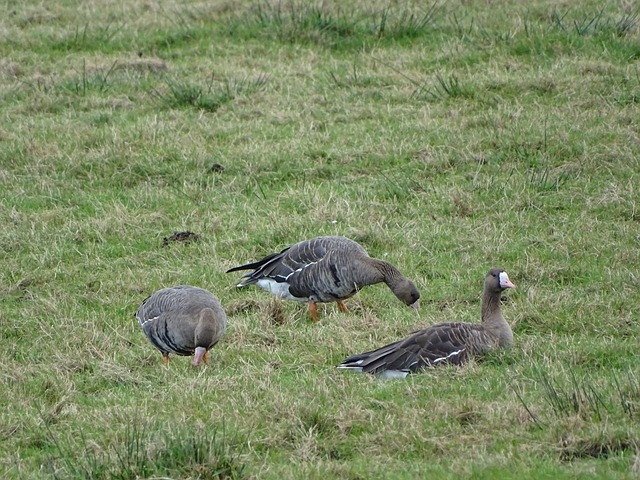 推上风口浪 推上风口浪