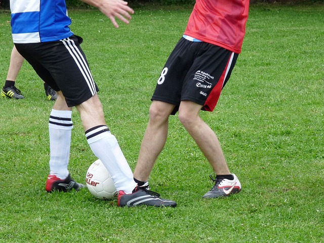 的参赛前景 的参赛前景