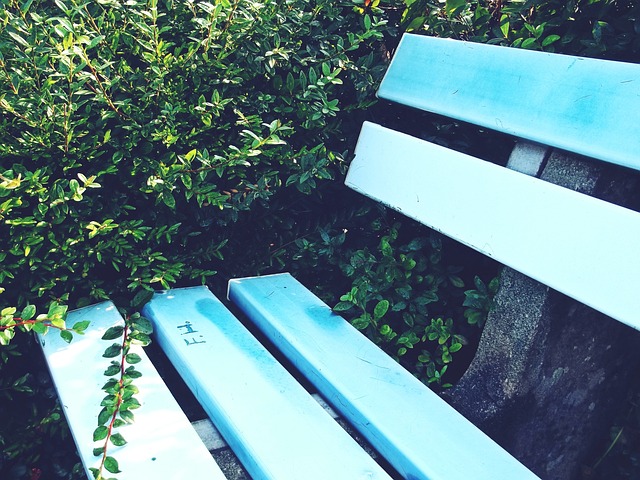 分上的惨烈 分上的惨烈