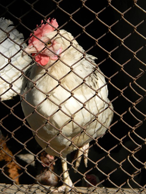 充满悬念 充满悬念