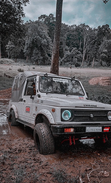 最终夺冠的 最终夺冠的