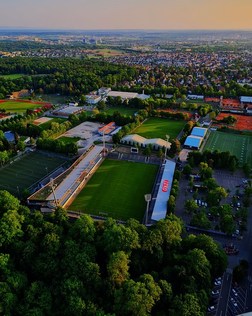 从而赢得奖 从而赢得奖